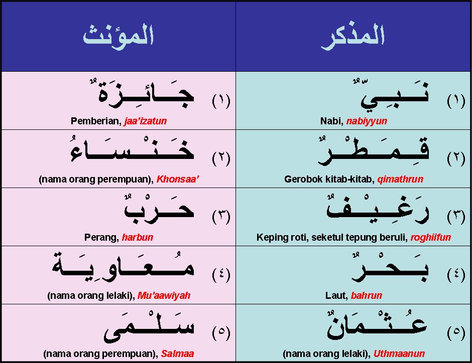 Kamus  Belajar Bahasa Arab